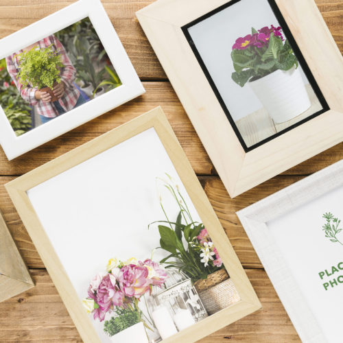 Decoración y productos fotográficos